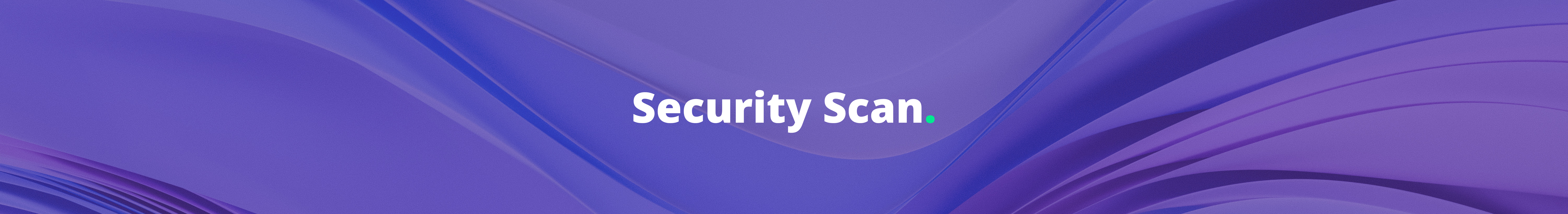 Security Scan (1)