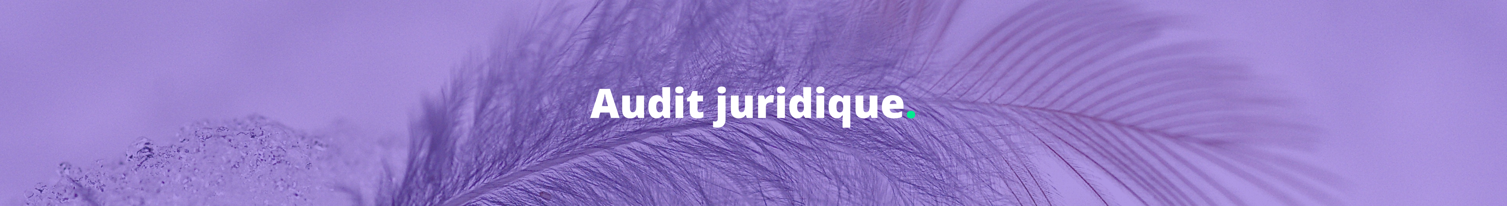 audit juridique